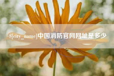 安溪中国消防官网网址是多少