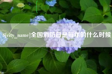 安溪全国消防日是每年的什么时候