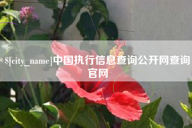 安溪中国执行信息查询公开网查询官网