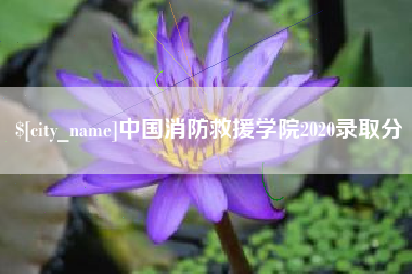 安溪中国消防救援学院2020录取分
