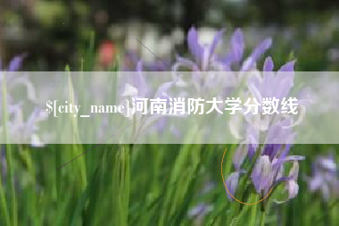 安溪河南消防大学分数线