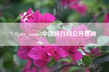 安溪中国执行网公开查询
