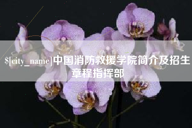 安溪中国消防救援学院简介及招生章程指挥部