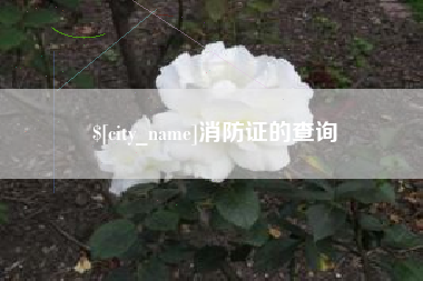 安溪消防证的查询