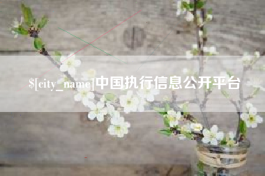 安溪中国执行信息公开平台