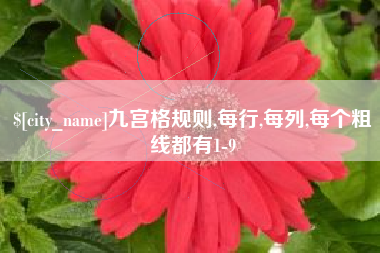 安溪九宫格规则,每行,每列,每个粗线都有1-9