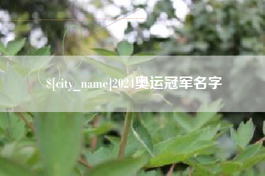 安溪2024奥运冠军名字