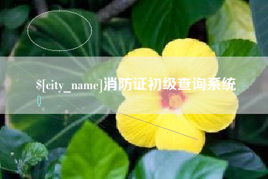 安溪消防证初级查询系统