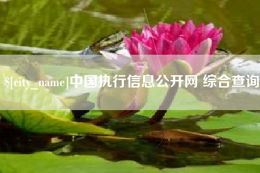 安溪中国执行信息公开网 综合查询