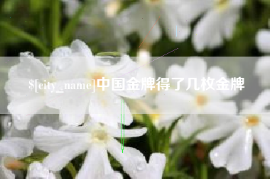 安溪中国金牌得了几枚金牌