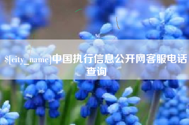 安溪中国执行信息公开网客服电话查询
