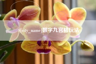 安溪数字九宫格玩法