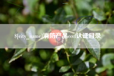 安溪消防产品cccf认证目录