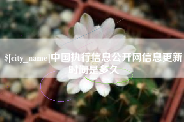 安溪中国执行信息公开网信息更新时间是多久