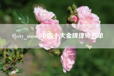 安溪中国十大金牌律师名单
