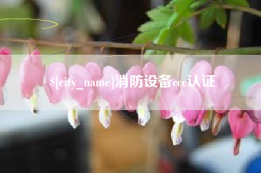 安溪消防设备ccc认证