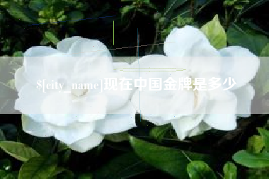 安溪现在中国金牌是多少