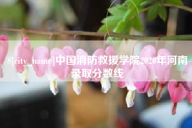 安溪中国消防救援学院2020年河南录取分数线