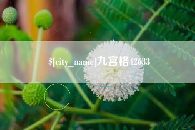 安溪九宫格42633