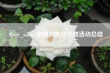 安溪全国消防日主题活动总结