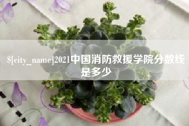 安溪2021中国消防救援学院分数线是多少