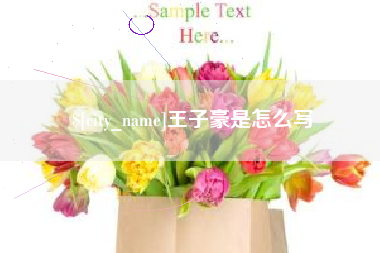 安溪王子豪是怎么写