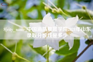 安溪中国消防救援学院2021年山东录取分数线是多少
