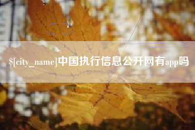 安溪中国执行信息公开网有app吗