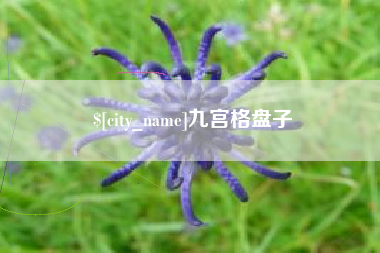 安溪九宫格盘子