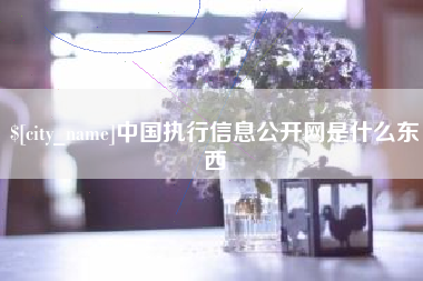 安溪中国执行信息公开网是什么东西