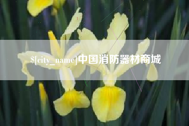 安溪中国消防器材商城