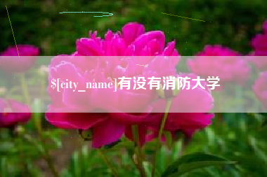 安溪有没有消防大学
