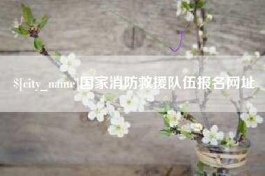 安溪国家消防救援队伍报名网址