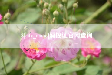 安溪消控证官网查询