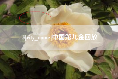 安溪中国第九金回放