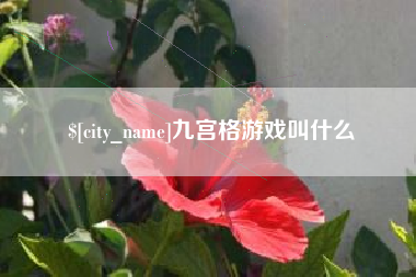 安溪九宫格游戏叫什么