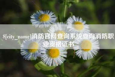 安溪消防官网查询系统查询消防职业资格证书