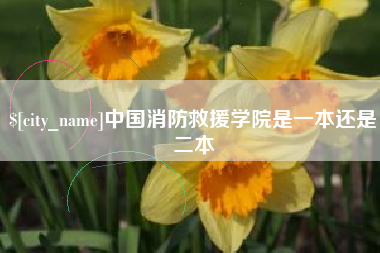 安溪中国消防救援学院是一本还是二本