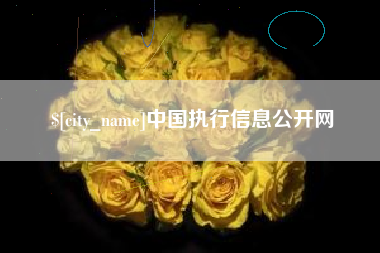 安溪中国执行信息公开网