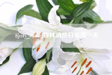 安溪森林消防日是哪一天