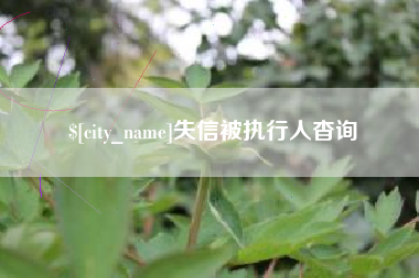 安溪失信被执行人杳询