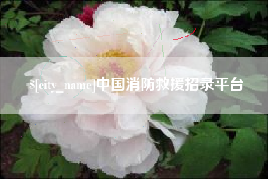 安溪中国消防救援招录平台