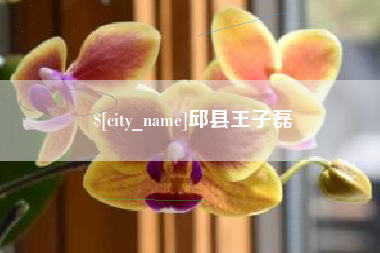 安溪邱县王子磊