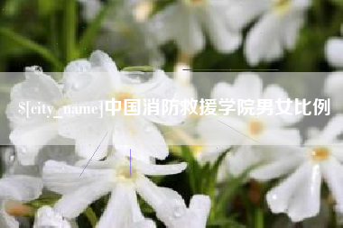 安溪中国消防救援学院男女比例
