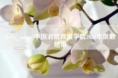 安溪中国消防救援学院2020年录取结果