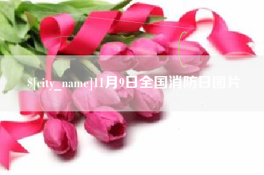 安溪11月9日全国消防日图片