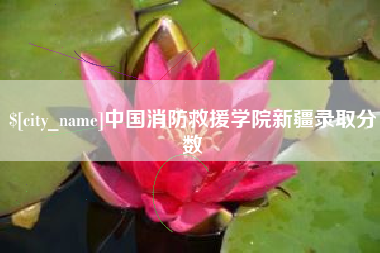 安溪中国消防救援学院新疆录取分数