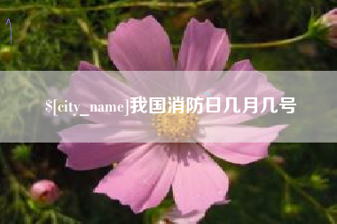 安溪我国消防日几月几号