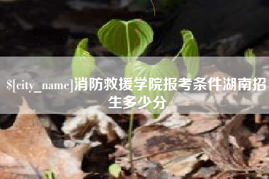 安溪消防救援学院报考条件湖南招生多少分