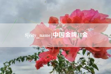 安溪中国金牌18金